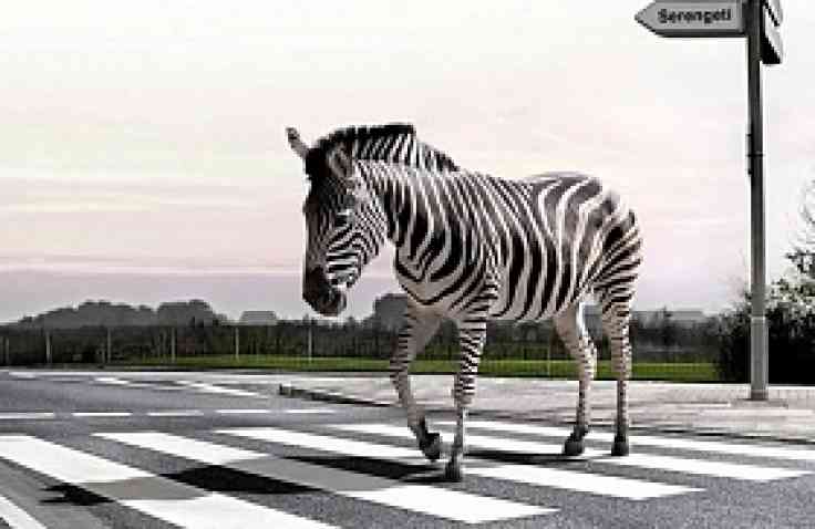 Sejarah Zebra Cross, Pernah Berwarna Kuning